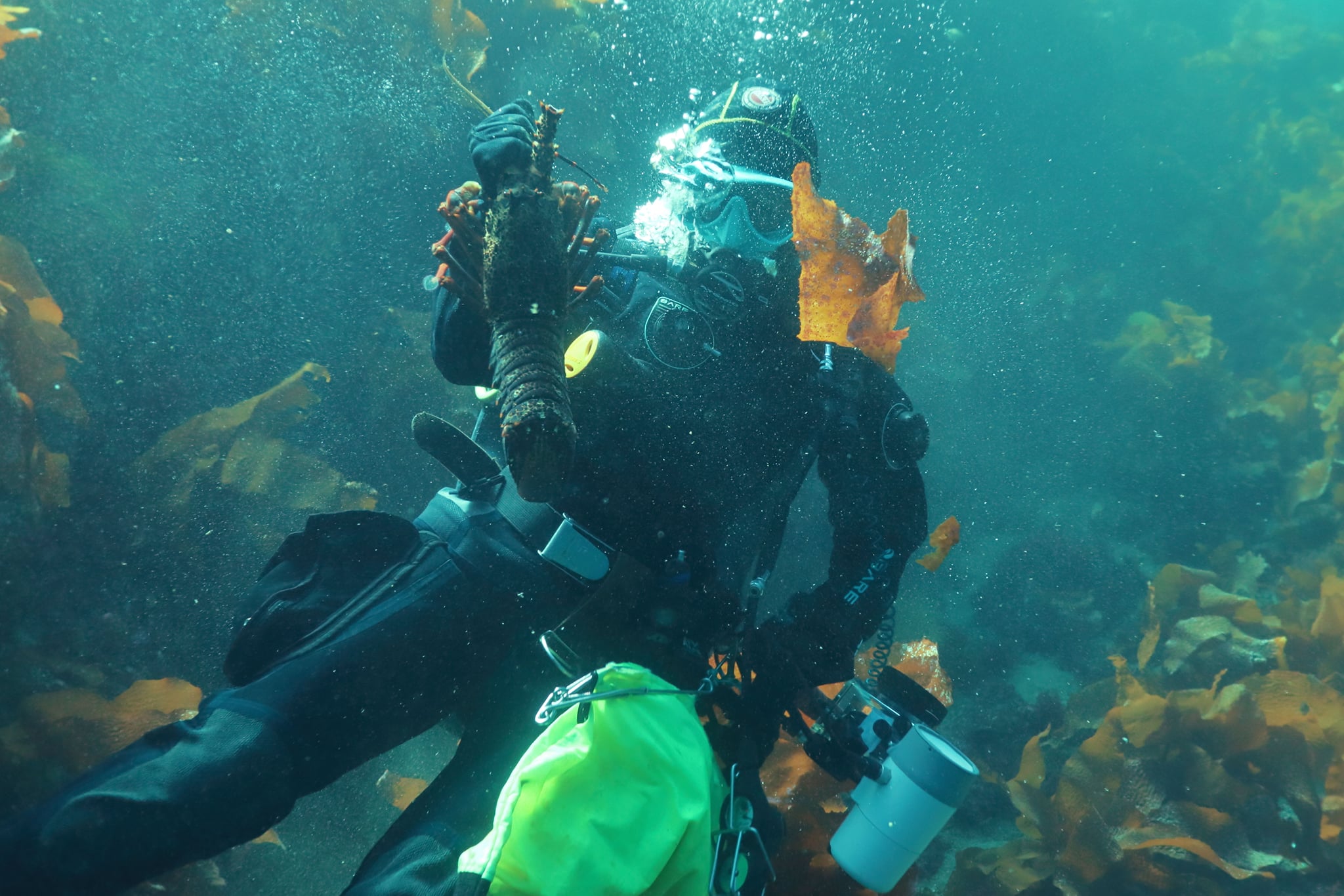 Diving Blog Dive HQ Wellington